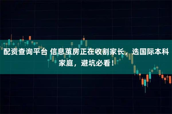 配资查询平台 信息茧房正在收割家长，选国际本科家庭，避坑必看！